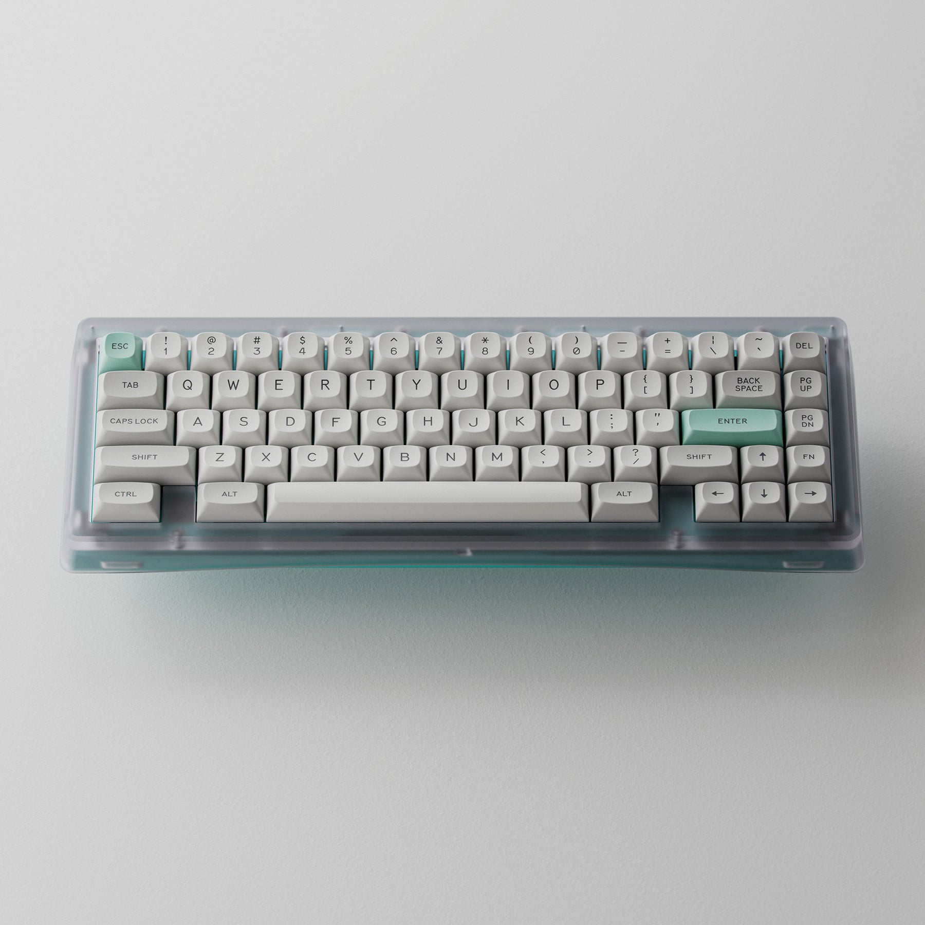 バウアー65
