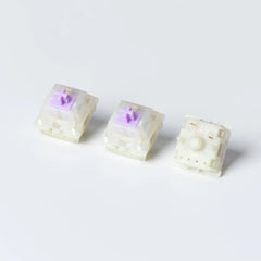 Switches x 110