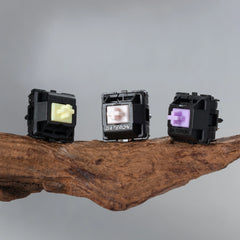 Switches x 30